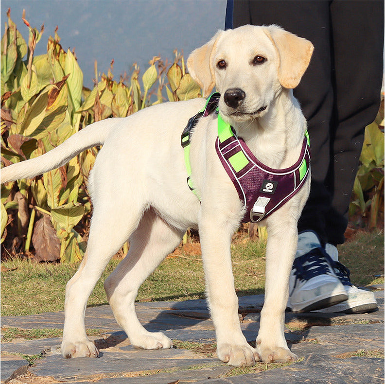 seacurity-brustgeschirr-f-r-hunde-mit-leine-gr-m-khaki image 2
